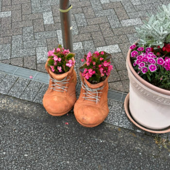 まだだ!!!