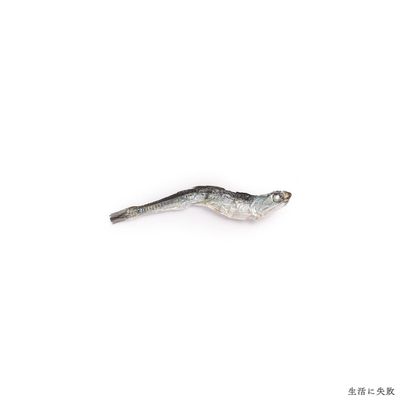 生活に失敗